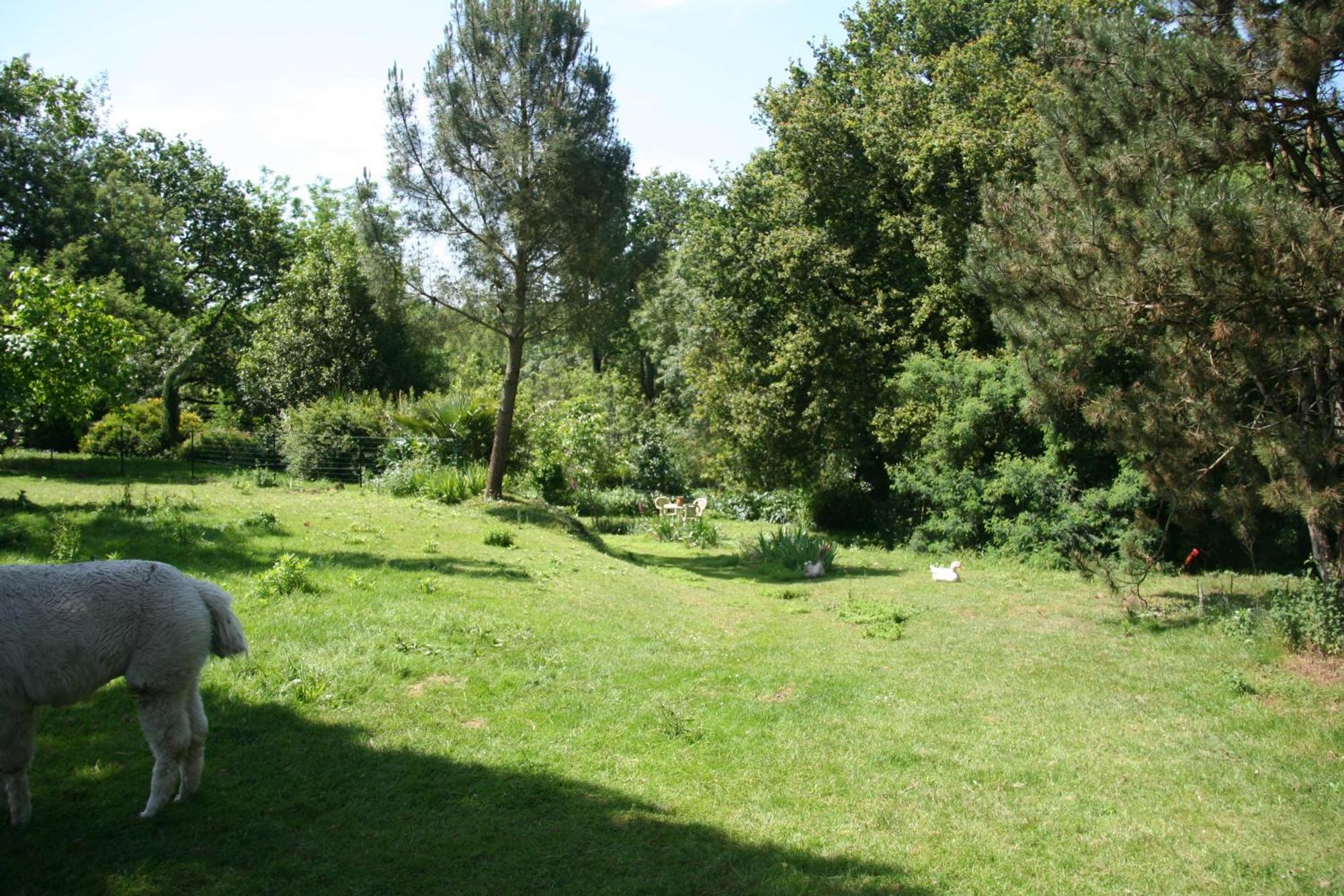 Une Chambre A La Campagne Basse-Goulaine Zewnętrze zdjęcie